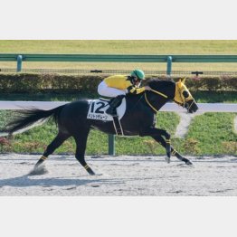 スピードの違いで押し切る