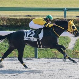 【飯島の日曜競馬コラム・アプローズ賞】