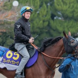 【新居の日曜競馬コラム・ジャパンＣ】