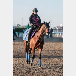 天皇賞のリベンジだ