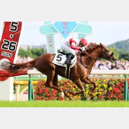 昨年のダービーは圧巻の走り