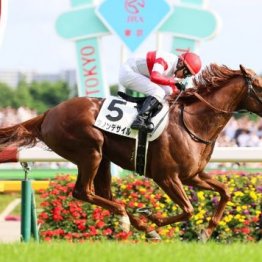 【大谷の日曜競馬コラム・ジャパンＣ】
