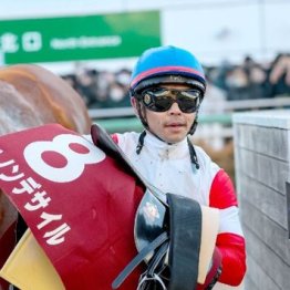 【武田の日曜競馬コラム・ジャパンＣ】
