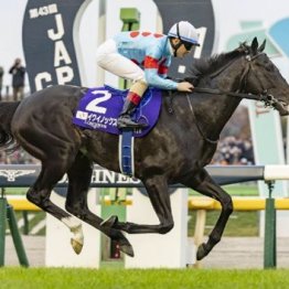 【注目重賞／データで買う・ジャパンＣ】