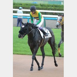 武豊が勝利に導く