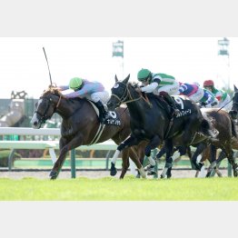 ＴＶｈ杯で年長馬を撃破