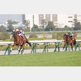 阪神大賞典は６馬身差の圧勝だった