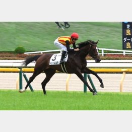 左回りなら見直せる