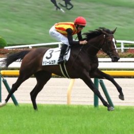 【東京本紙・外山の日曜東京８Ｒ】