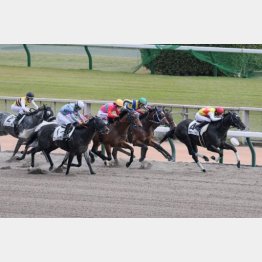 前走は見せ場たっぷり