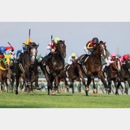 日本海Ｓで連対確保（黄帽）