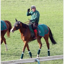 東京競馬場で調整