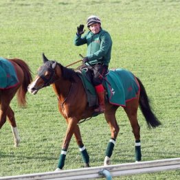 【東京本紙・外山のジャパンＣ】