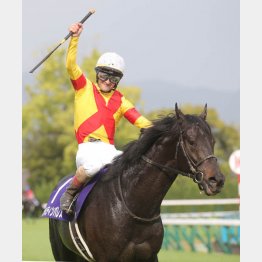 ジャスティンパレスは天皇賞・春を制したステイヤー