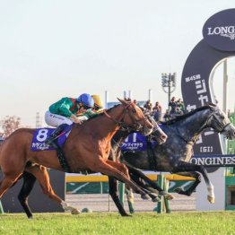 【ジャパンＣ】世界最強カランダガンが東京でもレコードＶ