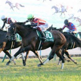 【京阪杯】６歳エーティーマクフィが重賞初制覇