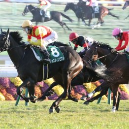 サドラーズウェルズ系欧州馬のカランダガンの評価を落とした予想を猛反省