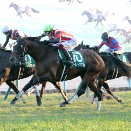 サドラーズウェルズ系欧州馬のカランダガンの評価を落とした予想を猛反省