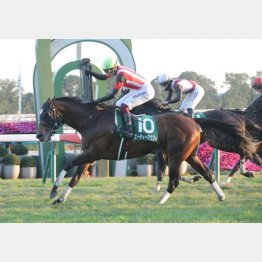 鮮やかに大外一気