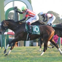 【京阪杯】エーティーマクフィ差し切り