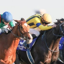 【ジャパンＣ】マスカレードボール②着惜敗もあらためて証明した世代レベルの高さ