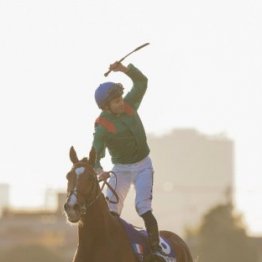 【ジャパンＣ】衝撃レコード２分２０秒３！　カランダガンこれが世界最強の脚だ