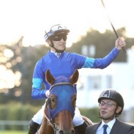 【チャンピオンズＣ】有力馬が五指に余る好メンバー