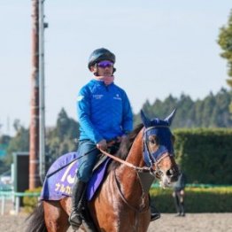 【チャンピオンズＣ】ナルカミ古馬制圧あるか