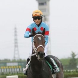 【チャンピオンズＣ】10年ぶりの牝馬Ｖへ　ダブルハートボンド視界良好