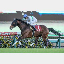 23年はアイアンバローズが京都大賞典⑪着からのV