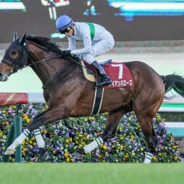 【ステイヤーズＳ】京都大賞典組を要チェック