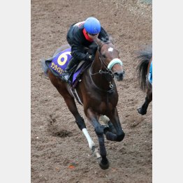 スピード乗りは申し分なし