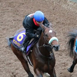 【チャンピオンズＣ】調教マル得チェック②