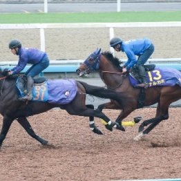 【チャンピオンズＣ】調教マル得チェック②