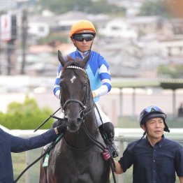 【鳴尾記念】グランヴィノス偉大な兄姉に追いつくためにまずはひとつ重賞タイトルを