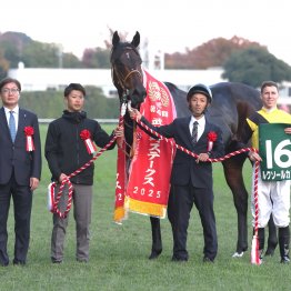 ダート界は今、完全に東高西低