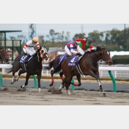 15年はＪＢＣレディスクラシック②着の12番人気サンビスタがアッと言わせた