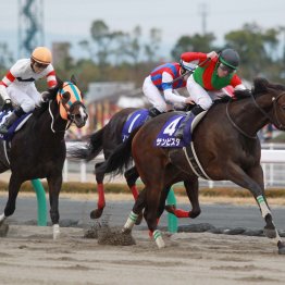 【チャンピオンズＣ】データ作戦　前走・交流ＧⅠ⑤着以内の人気薄を狙え