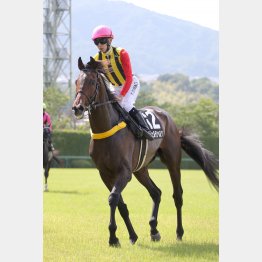 心肺機能は折り紙付き