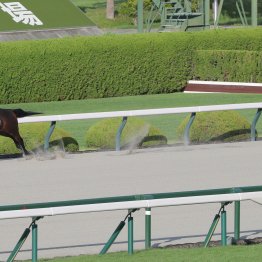 【播磨の土曜競馬コラム・中京日経賞】