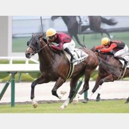 阪神千二で連勝を狙う