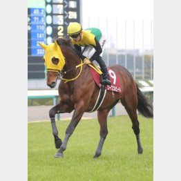 昨年の阪神大賞典で②着