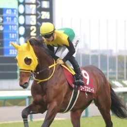 【市川の土曜競馬コラム・ステイヤーズＳ】