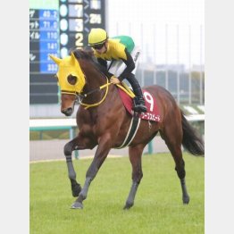 昨年の阪神大賞典で②着