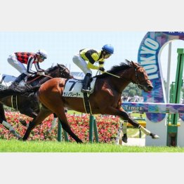 ６月東京で新馬勝ち