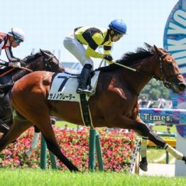 【新居の土曜競馬コラム・葉牡丹賞】