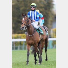 中山牝馬Ｓで②着