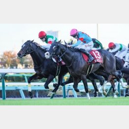 昨年は鼻差②着