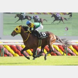 古都Ｓ勝ちもたたき２戦目だった