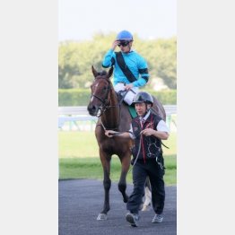 七夕賞で③着と復調気配